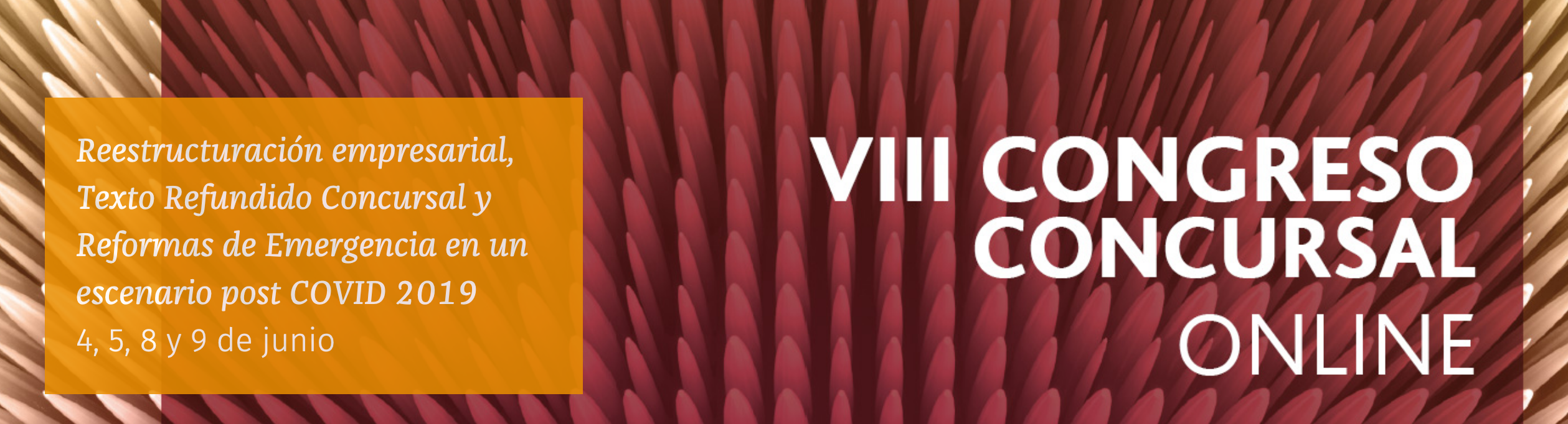 VIII Congreso Concursal Online. Reestructuración empresarial, Texto Refundido Concursal y reformas de emergencia en un escenario post COVID -19 