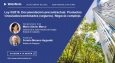 Ley 5/2019. Documentación precontractual. Productos vinculados/combinados (seguros). Negocio complejo.