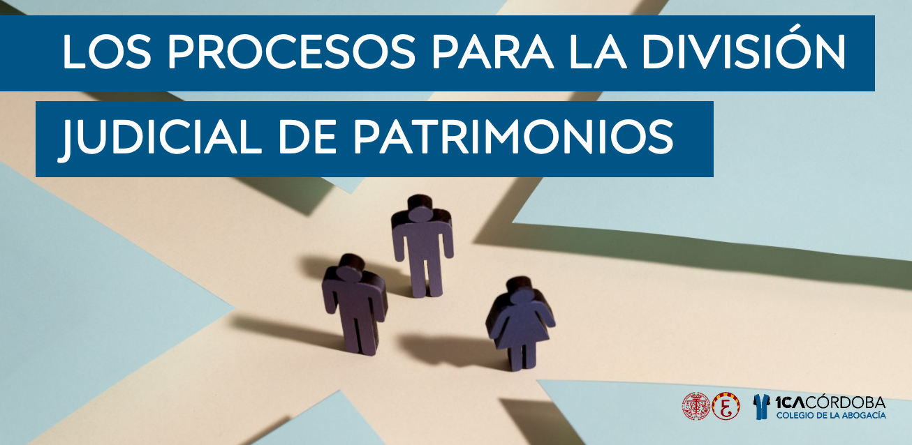 Los procesos para la división judicial de patrimonios